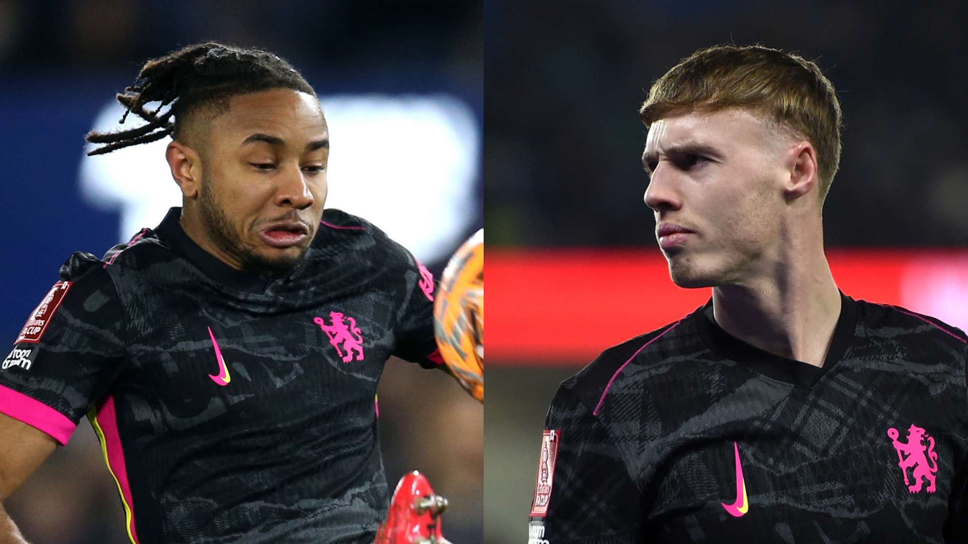 迷的支持与 迷的支持与